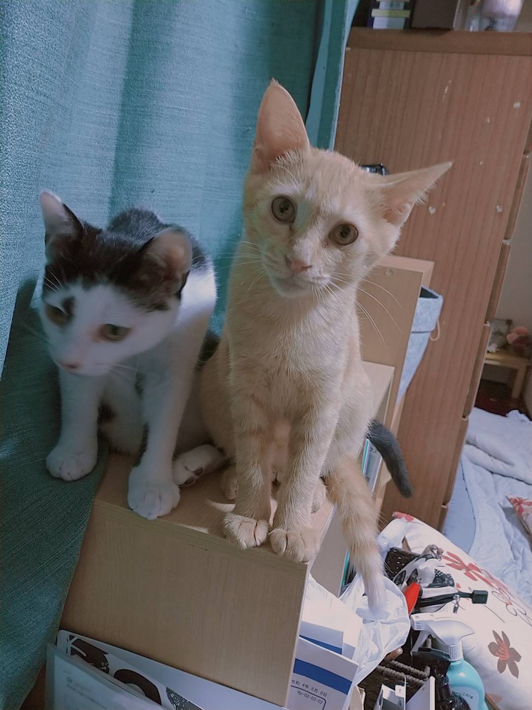 仲よしな兄妹！