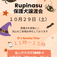 Rupinasu保護犬譲渡会 with どれみふぁまるしぇ