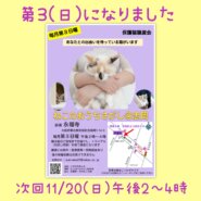 11/20(日) ねこのおうちさがし＠忠岡