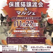 百町保護猫譲渡会&マルシェ