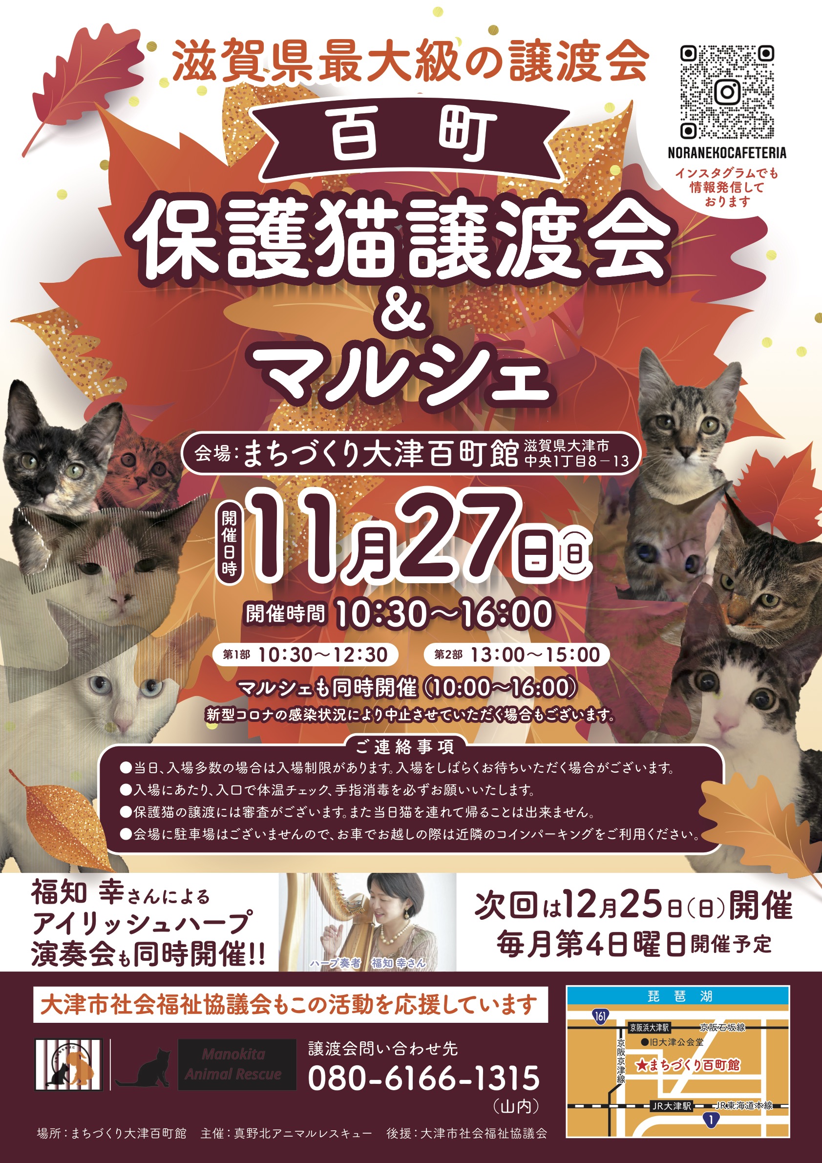 百町保護猫譲渡会&マルシェ