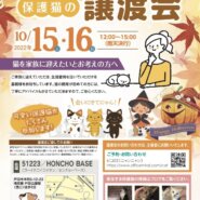 保護猫の譲渡会