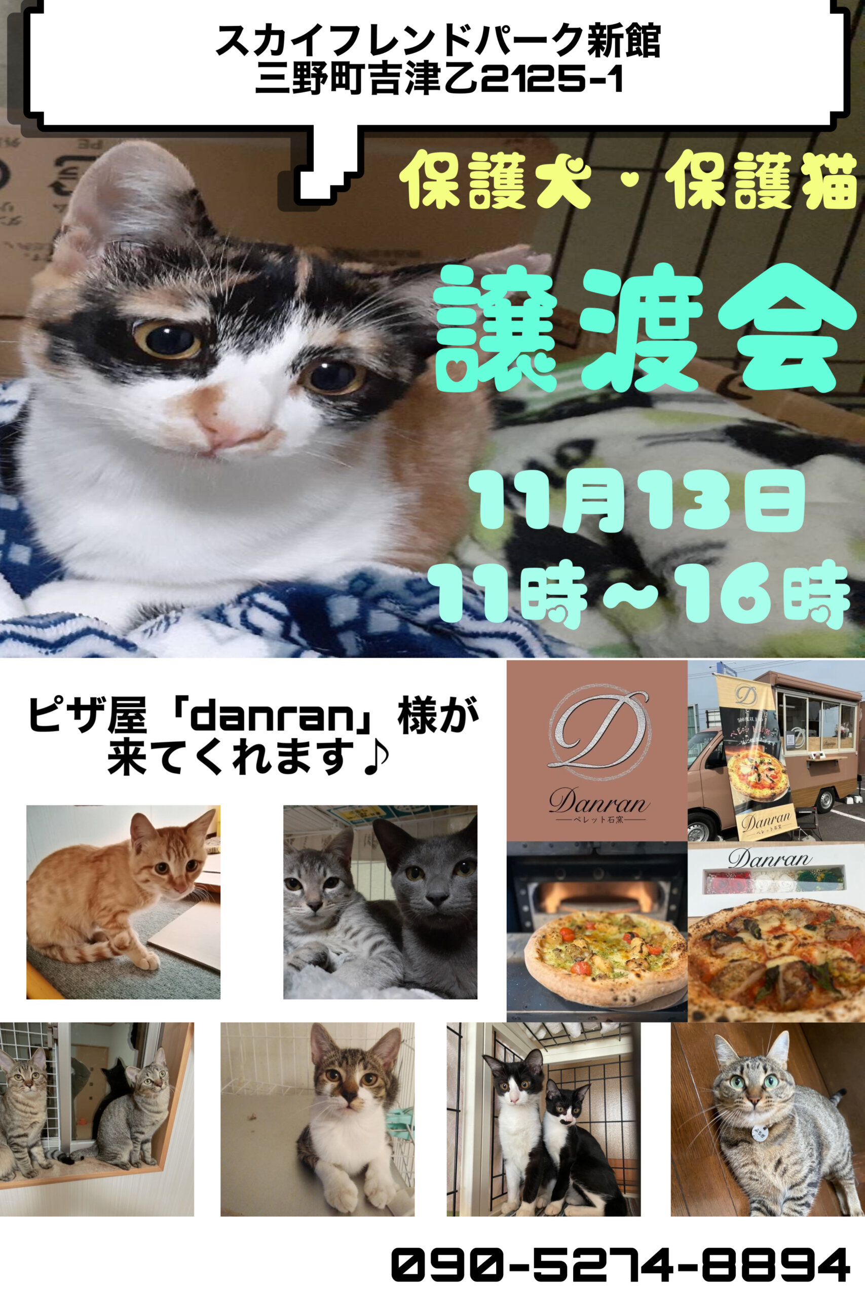 プチイベントあり！犬猫譲渡会