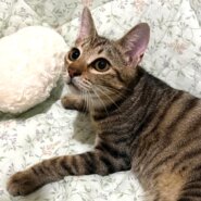 なぎ♂穏やかで優しいイケメン