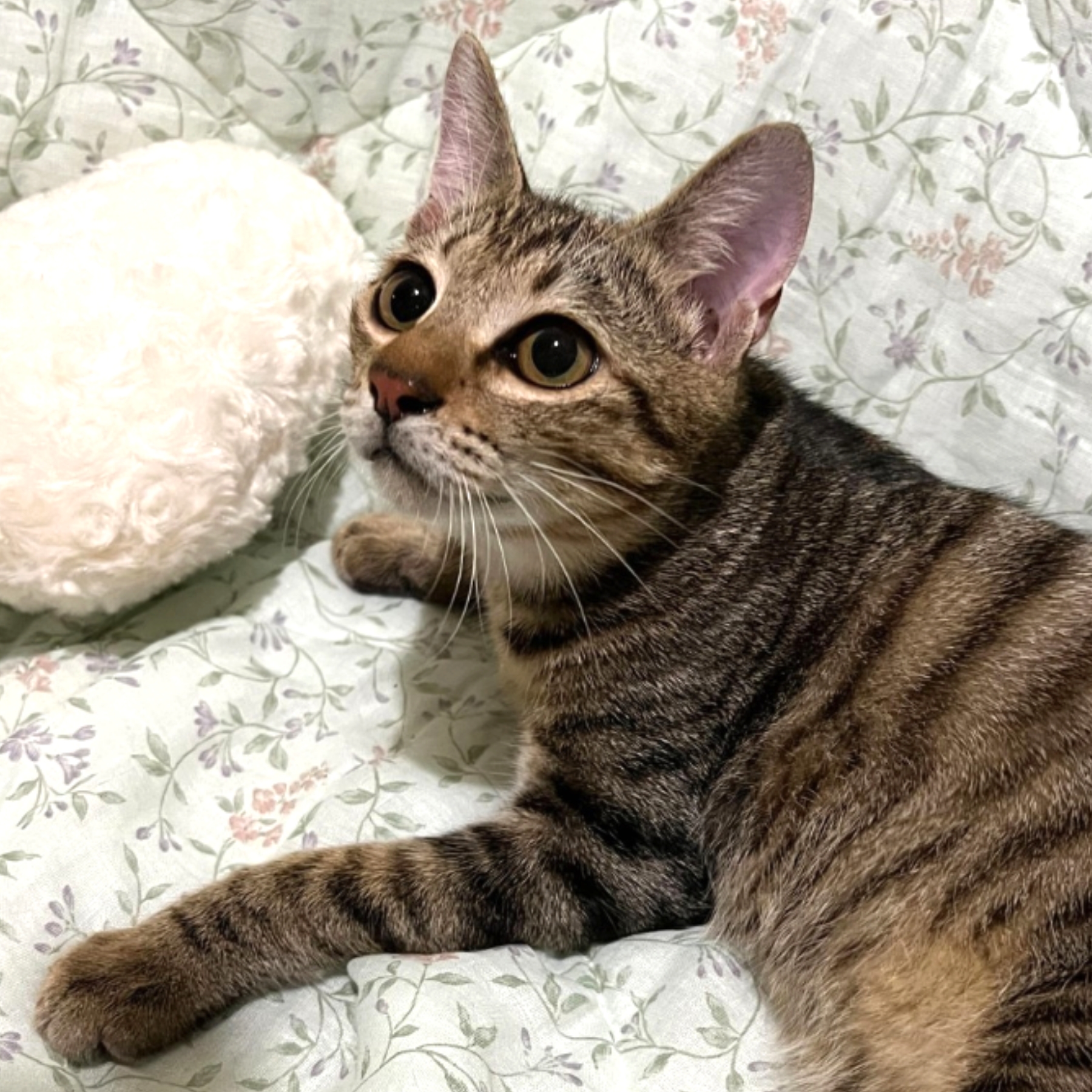 なぎ♂穏やかで優しいイケメン