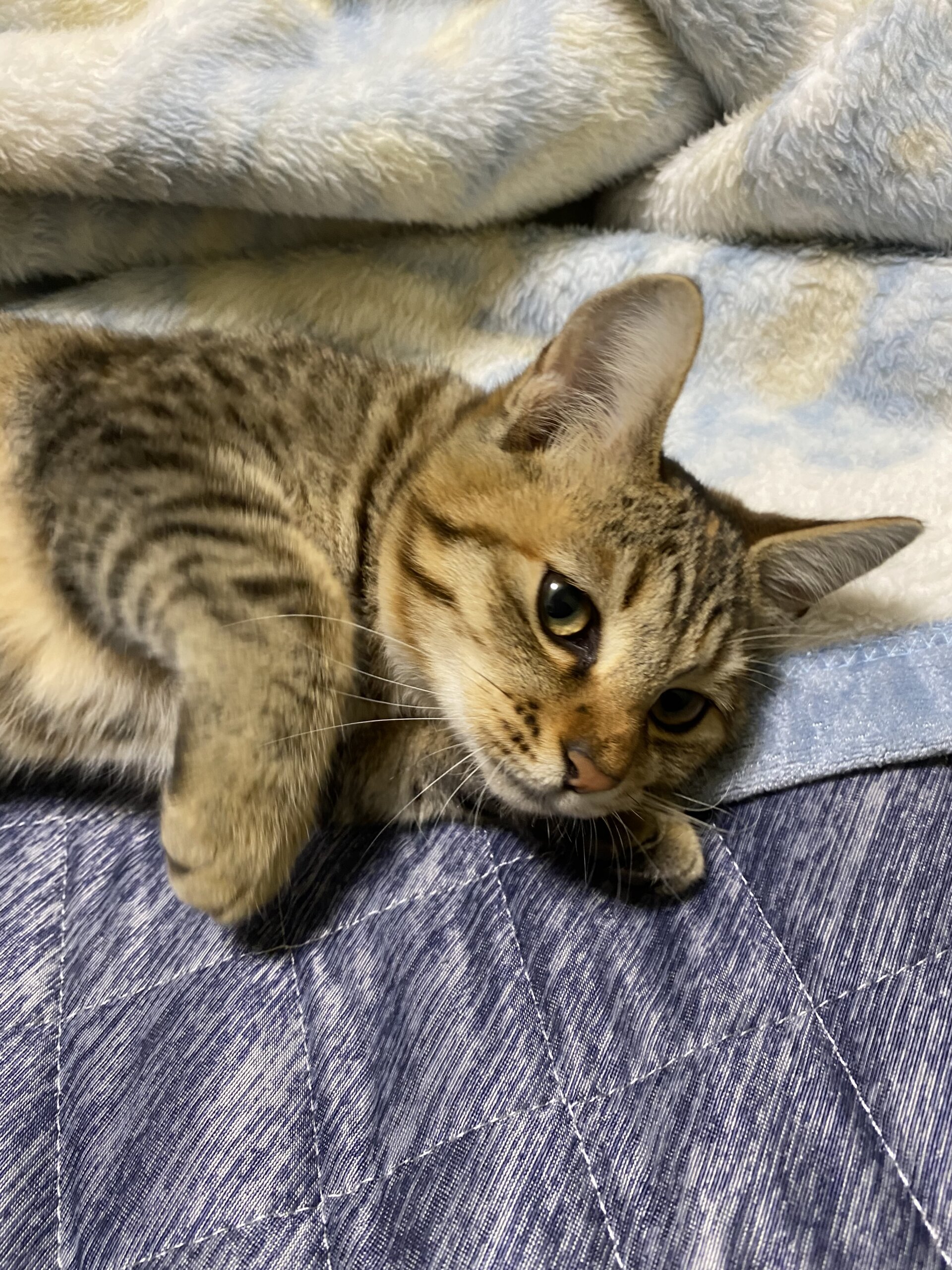 6・7ヶ月の女の子