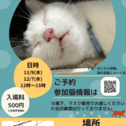 水曜日の譲渡会