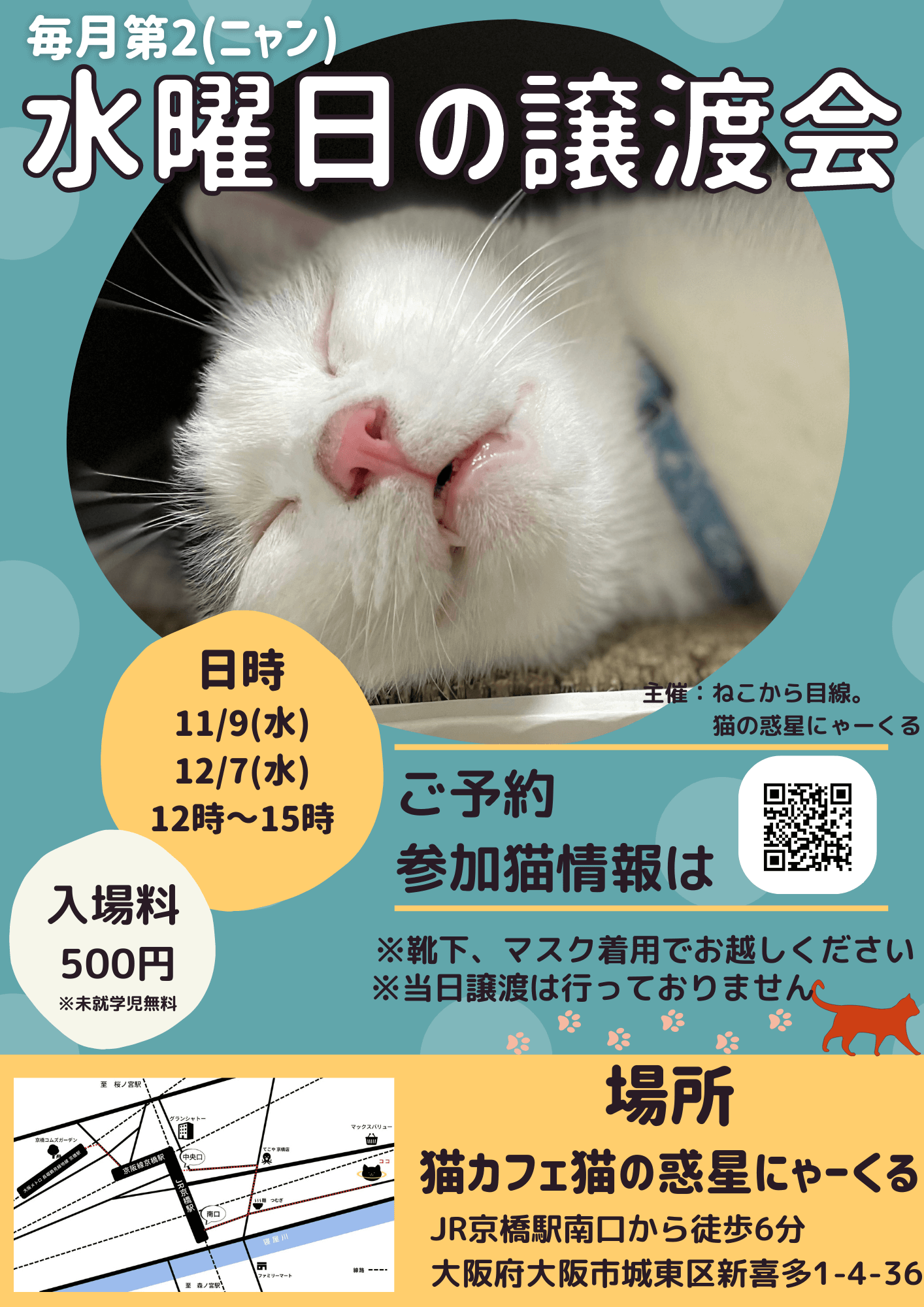 水曜日の譲渡会