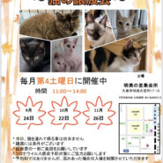 四条畷駅　猫の譲渡会