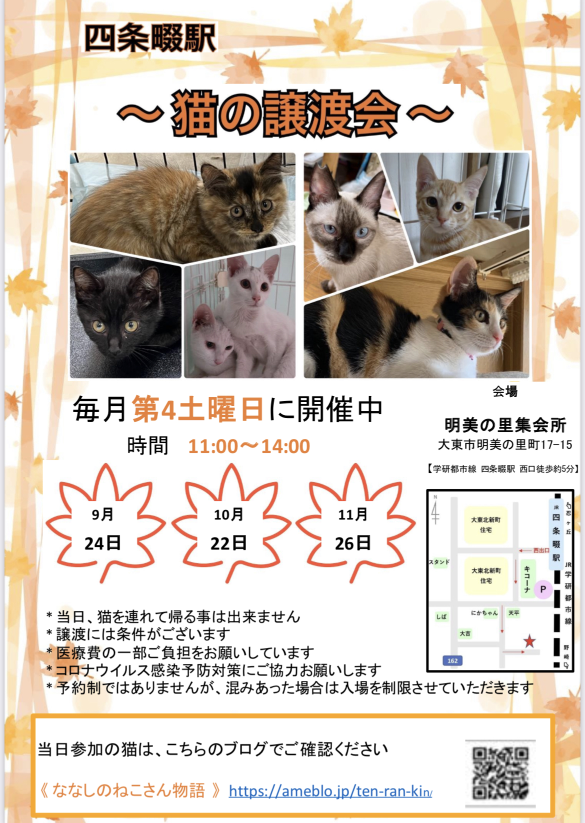 四条畷駅　猫の譲渡会