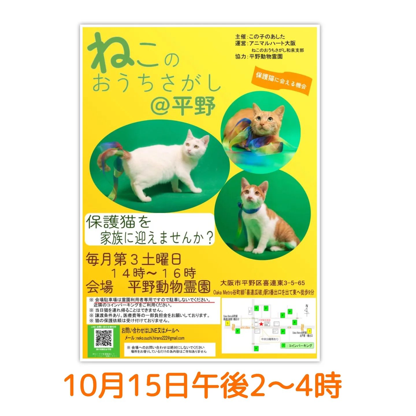 10/15(土) ねこのおうちさがし＠平野