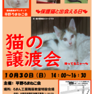 平野ろまねこ譲渡会