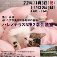 【さいたま市】11/3（祝）ハレノテラス保護猫譲渡会