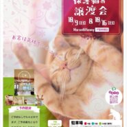 笑ねこ 保護猫の譲渡会