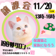 譲渡会 in １００夢サロン