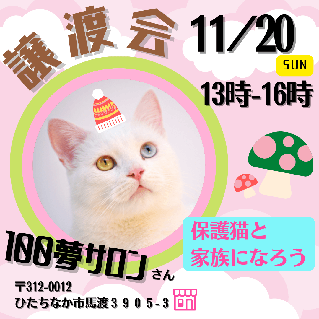 譲渡会 in １００夢サロン