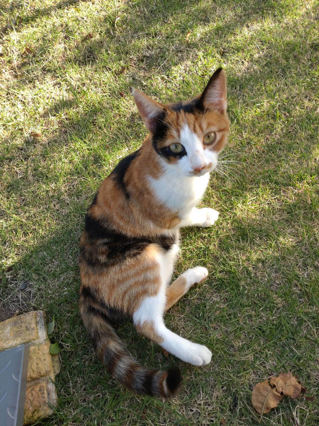 半年の女の子です