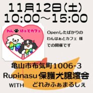 Rupinasu保護犬譲渡会&どれみふぁまるしぇ