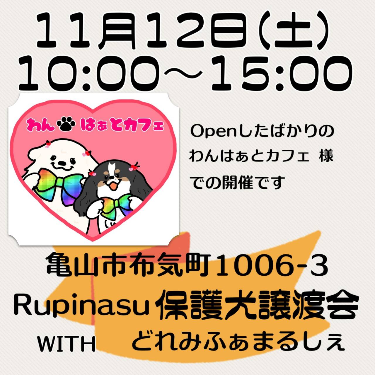 Rupinasu保護犬譲渡会&どれみふぁまるしぇ
