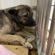 ブルブル震えながら迎えを待ってます