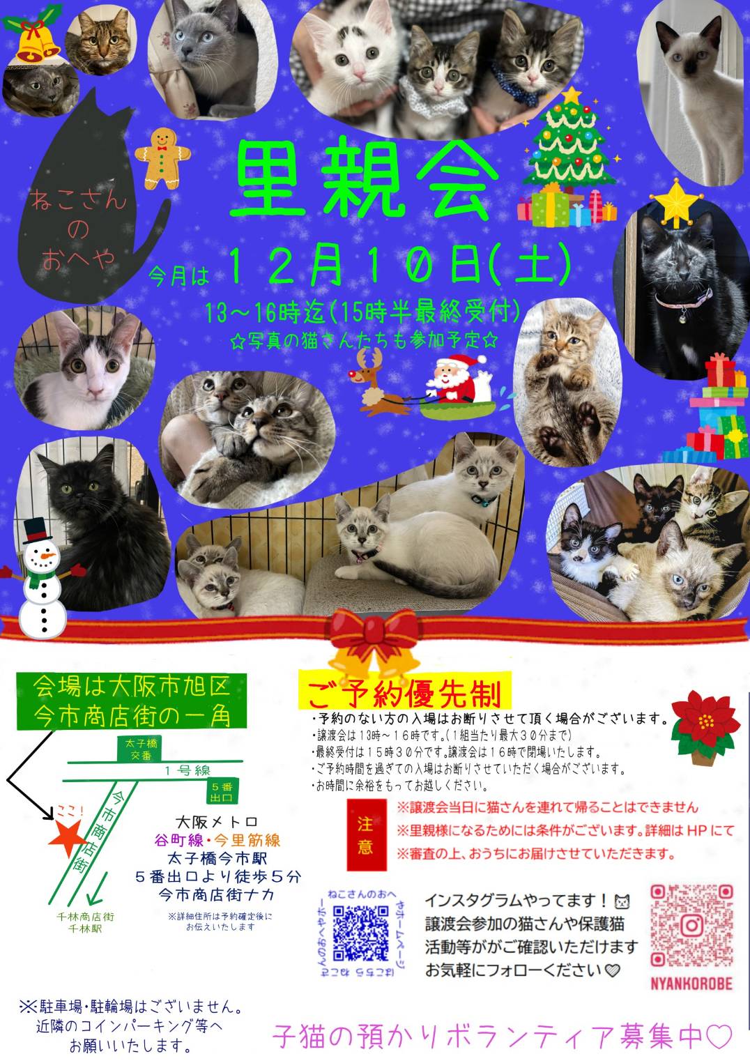 子猫がいっぱい譲渡会！