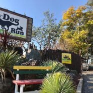 アニマルパートナーズサミットDE譲渡会