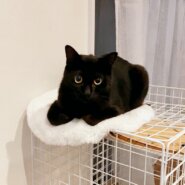 息子ハンくん&お母さんななちゃん親子*°♡