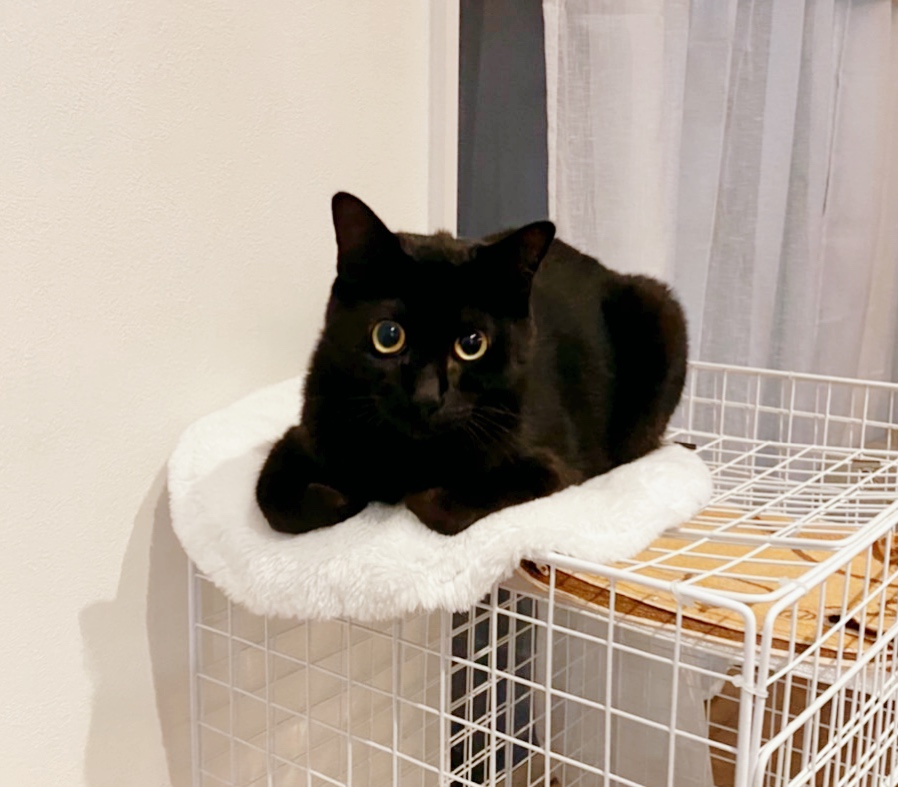 息子ハンくん&お母さんななちゃん親子*°♡