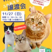 保護ねこ施設　キャッツウェルケア　ふれあえる譲渡会