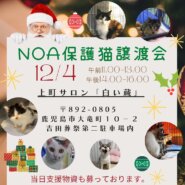 NOA鹿児島保護猫譲渡会