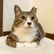 お母さんななちゃん&息子ハンくん親子♡