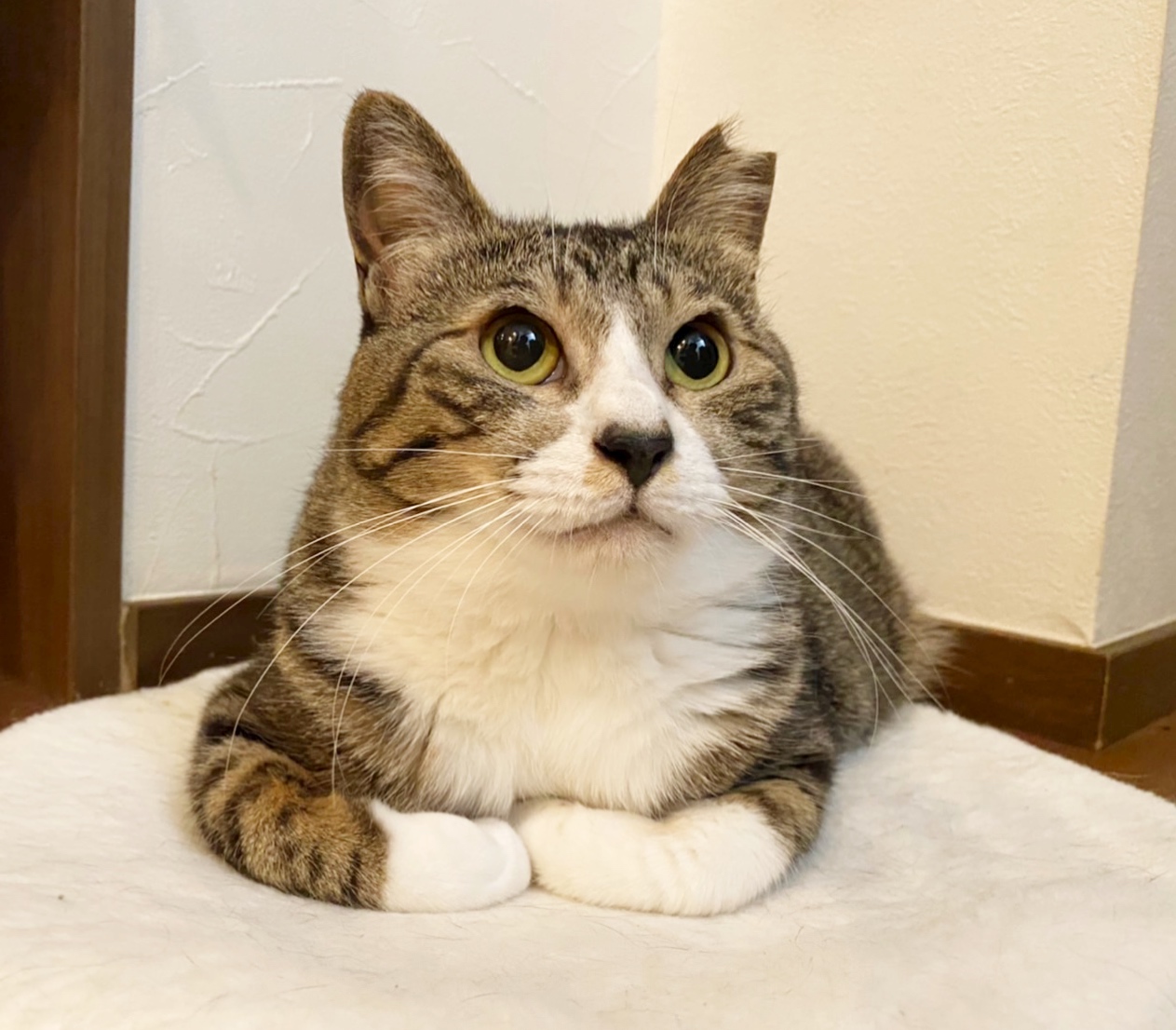 お母さんななちゃん&息子ハンくん親子♡