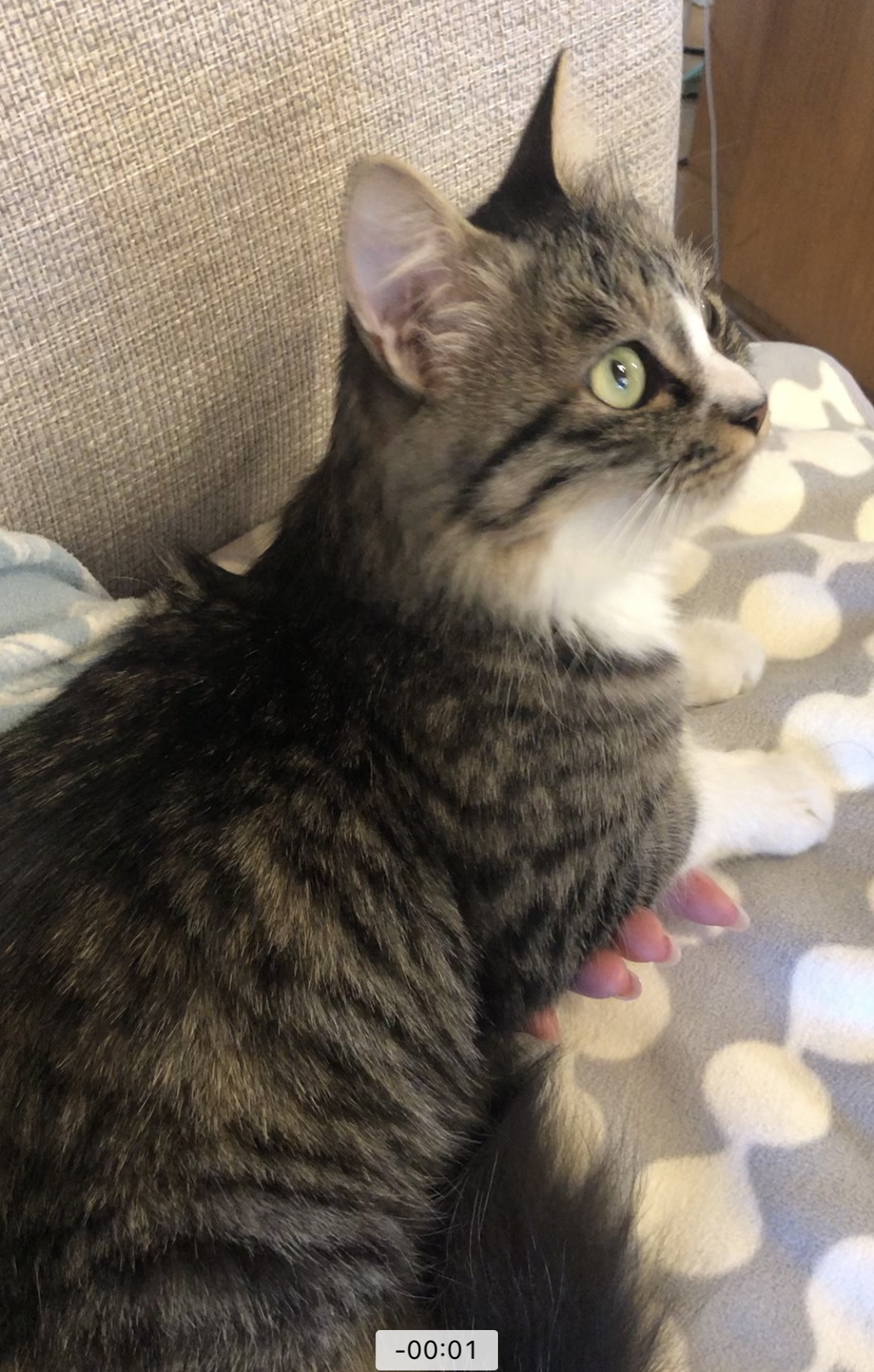 どこにでもついてくる可愛い女の子