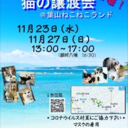 hayama-neko保護猫譲渡会