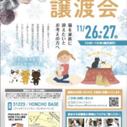 保護猫の譲渡会