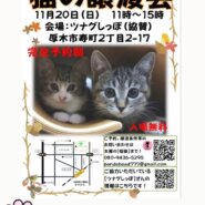 ツムグ小さな譲渡会