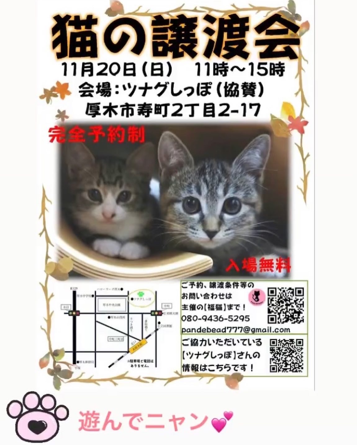 ツムグ小さな譲渡会