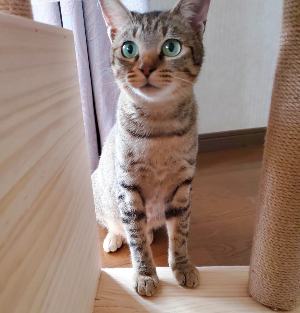 まん丸お顔が可愛い幸ちゃん*°♡