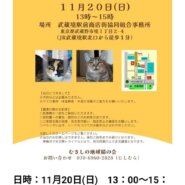 むさしの地域猫の会　譲渡会