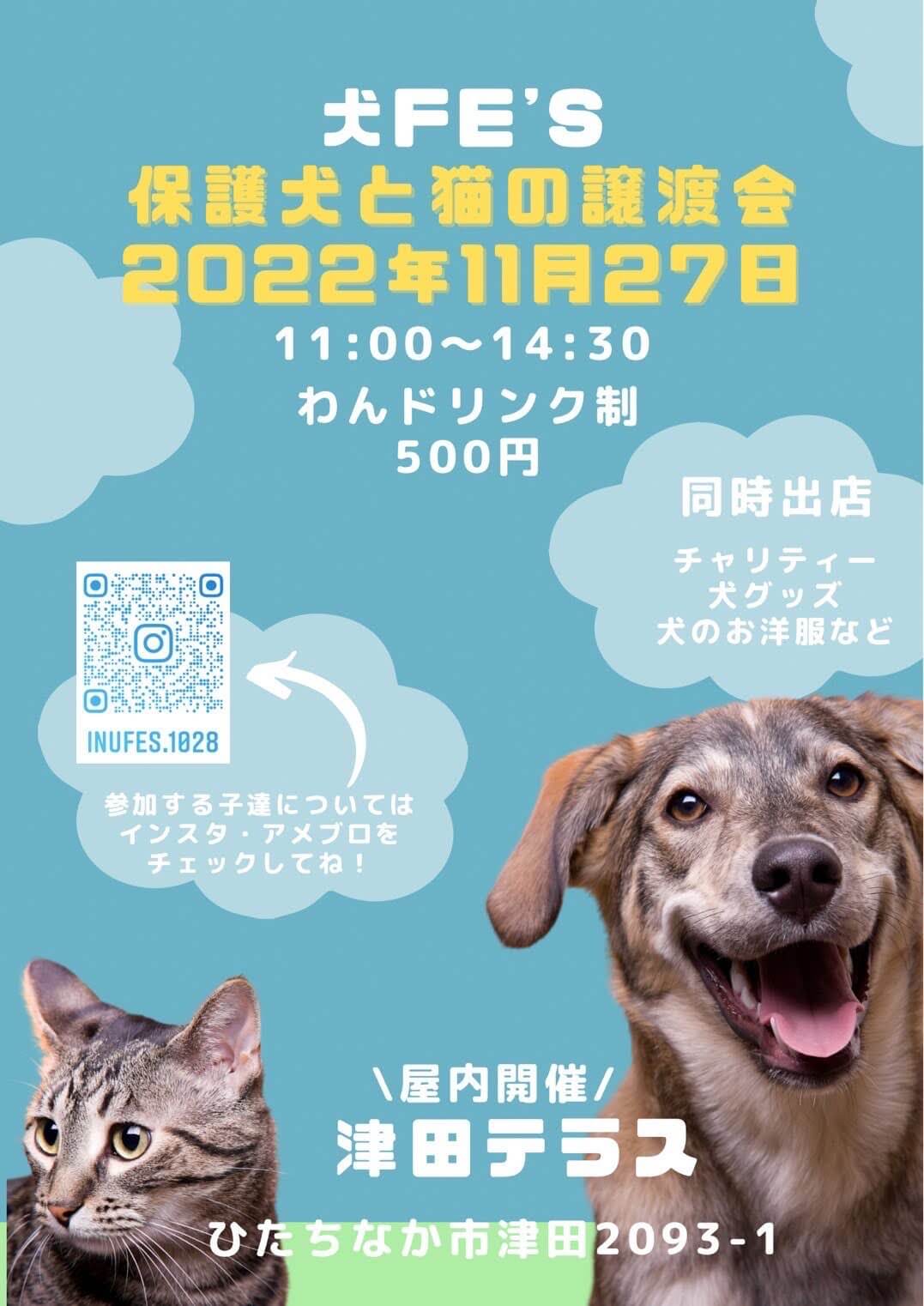 犬Fés譲渡会