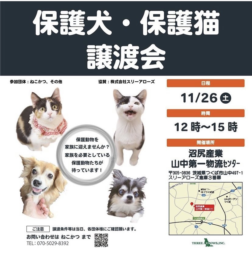 保護犬・保護猫の譲渡会