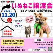 いぬねこ譲渡会 at アイフルホーム水戸店さん
