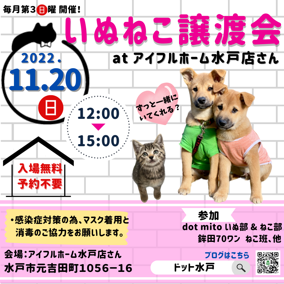 いぬねこ譲渡会 at アイフルホーム水戸店さん