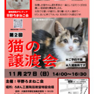 第２回平野ろまねこ譲渡会
