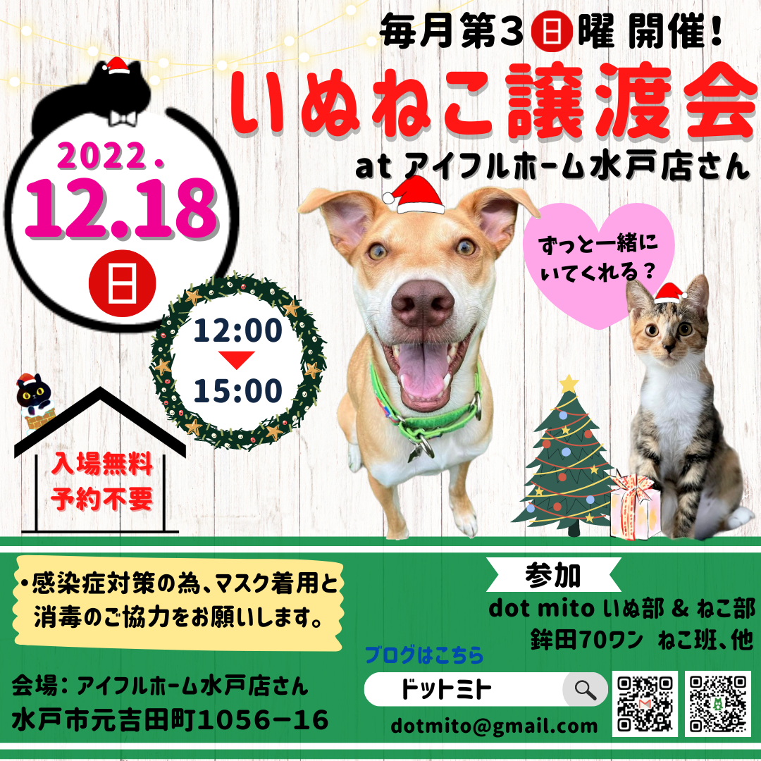 いぬねこ譲渡会　at アイフルホーム水戸店さん