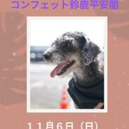 Rupinasu保護犬譲渡会