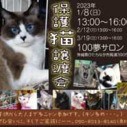 保護猫譲渡会
