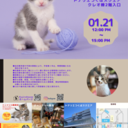 トニャリエ譲渡会