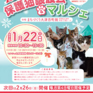 百町保護猫譲渡会&マルシェ