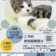 水曜日の譲渡会